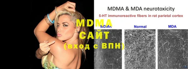 эйфоретик Бородино