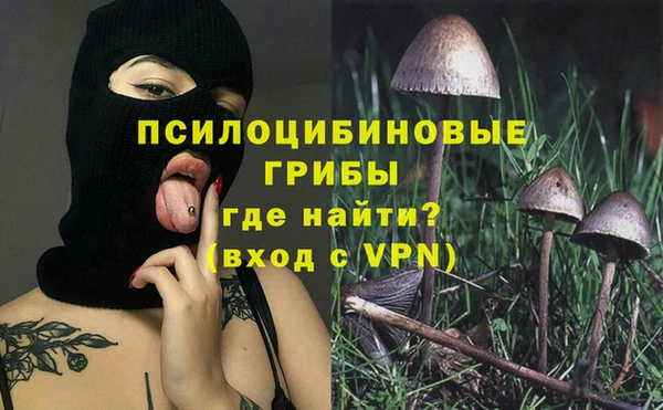 эйфоретик Бородино