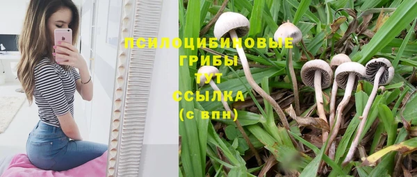 эйфоретик Бородино