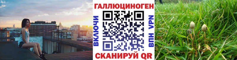 Псилоцибиновые грибы Cubensis  купить   Братск 